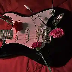 Picture for song 'kiss from a rose - Seal' by artist 't polimeros'