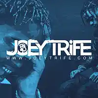 Picture for song 'Beast' by artist 'Joey Trife'