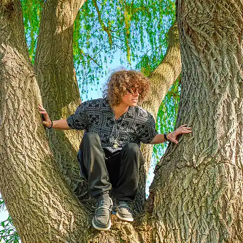cover pic
