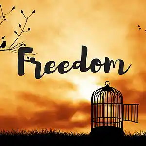 Picture for song 'Freedom' by artist 'MSound prod.'