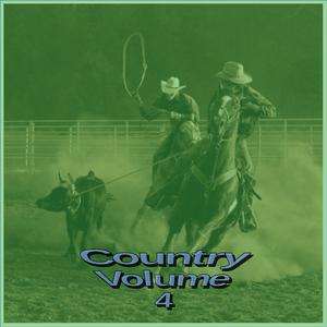 Picture for song 'Country 047 Bog Baritone Talkbox Blues' by artist 'Raven Productions'