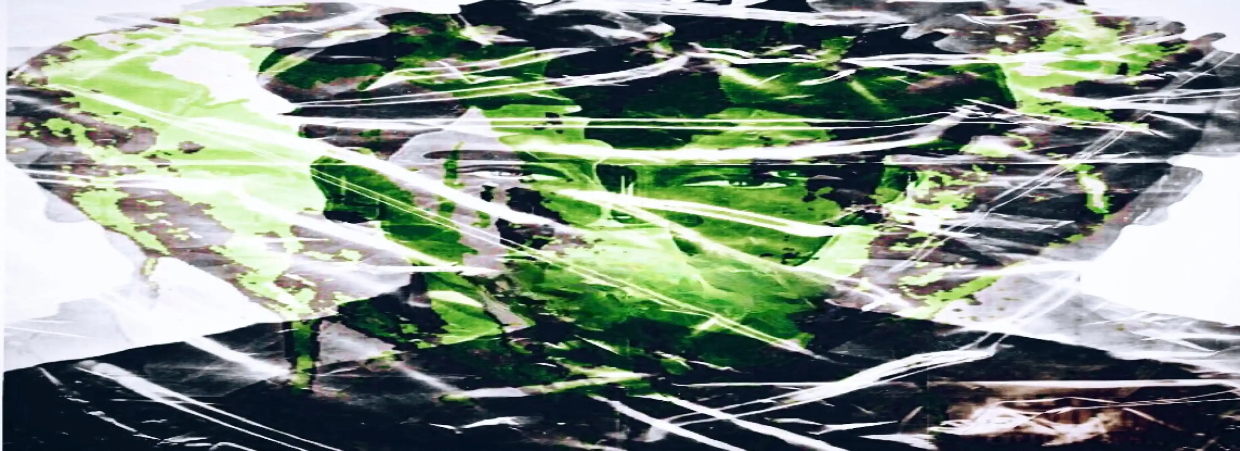 cover pic