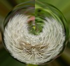 Picture for song 'Perfectly Vague' by artist '7StringJazz'