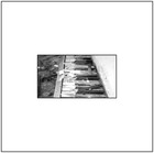 Picture for song 'Project 85' by artist 'Aarryn'