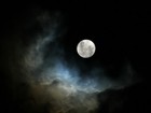 Picture for song 'What a Life' by artist 'Allegory'