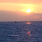 Picture for song 'Children of the Earth' by artist 'Andrey Mishchenko'