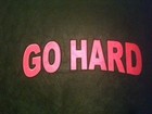 Picture for song 'go hard (For Sale)' by artist 'Bas1c'
