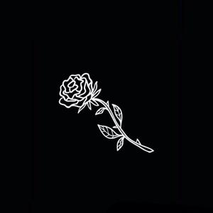 Picture for song 'AMZBLVCK - Perfect Trips (Roses Are Black) (voice ' by artist 'captainblvck'