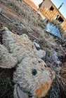 Picture for song 'Comfort Object' by artist 'Claypots'