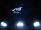 Picture for song 'Let us Fly' by artist 'COMPULSIVE MUSIC DISORDER'