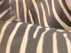 Picture for song 'It all gets interesting take1.MP3' by artist 'Dad in the Den'