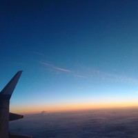 Picture for song 'The Girl In The Window (live)' by artist 'Disciples Of Tone'