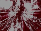 Picture for song 'Pendra 3.7' by artist 'DNYSZ'