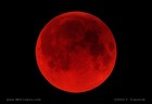 Picture for song 'Red Moon ft. Epik' by artist 'Double D (69)'