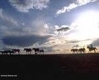Picture for song 'Another Horizon' by artist 'Eskraw Production'