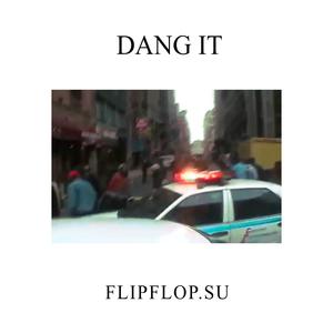 Picture for song 'dang it' by artist 'flipflop'