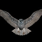 Picture for song 'Freebird' by artist 'Greg Strandberg'
