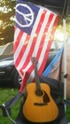 Picture for song 'Rocky Top Tennesee' by artist 'Guitar Jim Cunningham'