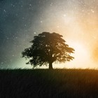 Picture for song '*HardCore* Most Scary (10$ LEASE/100$ Exclusive)' by artist 'HeavyWeight Crew'