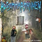 Picture for song 'The Life (Intro)' by artist 'Hogsommarmannen'
