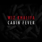 Picture for song 'Cabin Fever' by artist 'itzJreap'