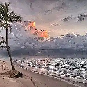 Picture for song 'Last evening at the shore' by artist 'Jav Grojas'