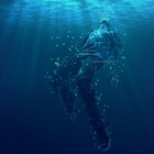 Picture for song 'Falling written by SR Soul' by artist 'Juice Billionaire'