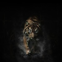 Picture for song 'Alpha - FREE DL' by artist 'KMBeatsOfficial'