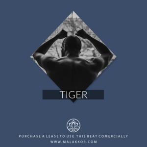 Picture for song '[ Tiger ] Flute Rap beat' by artist 'Malakkor'