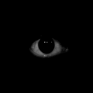 Picture for song 'i 8 the F8kes (21 Savage)' by artist 'MillionsGotHits'