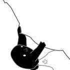 Picture for song 'On Par' by artist 'Neva Mynz'