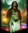 Picture for song 'Trap style beat' by artist 'Phresh Montana'