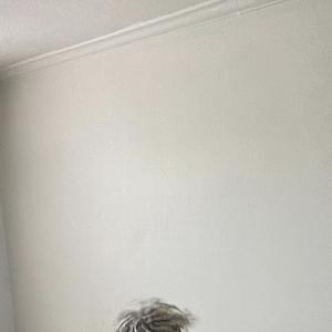 Picture for song 'w0ckh4rdt' by artist 'prod. enzo'