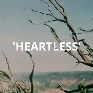Picture for song 'HEARTLESS' by artist 'bigdaddyteacha'