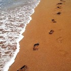 Picture for song 'Footprints in the Sand' by artist 'Sodderpot'
