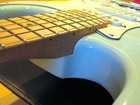 Picture for song 'Just a Cat Blues' by artist 'spinaceto'