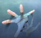 Picture for song 'Drowning In Sorrow ft. Slantize' by artist 'Strife Divine'