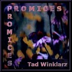 Picture for song 'Promices Promices' by artist 'Tad Winklarz'