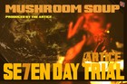 Picture for song '(7 DAY TRIAL) Mushroom Soup' by artist 'The Artice'