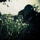 Picture for song 'Graveyard' by artist 'The DJ Catastrophy'