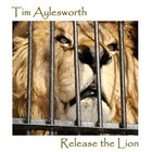 Picture for song 'One More' by artist 'Tim Aylesworth'