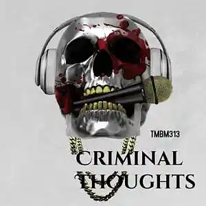 Picture for song 'Criminal Thoughts' by artist 'TMBM313'