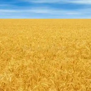 Picture for song 'For Whom The Bells..' by artist 'Get A Kite'