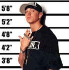 Picture for song 'Eminem - Just Dont Give A Rmx (TroublePro).mp3' by artist 'Trouble Productionz'