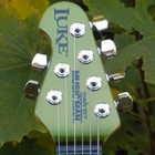 Picture for song 'The Animal' by artist 'VladDrac'