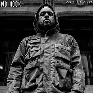 Picture for song 'No Hook (Buy 1 Get 1-3 FREE)' by artist 'V-Sine Beatz'