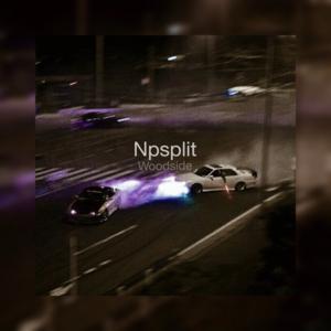 Picture for song 'Woodside - NpSplit' by artist 'Woodside Beatz'