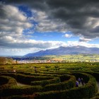 Picture for song 'LOST INA MAZE (R$B)' by artist 'YB MUZiK'