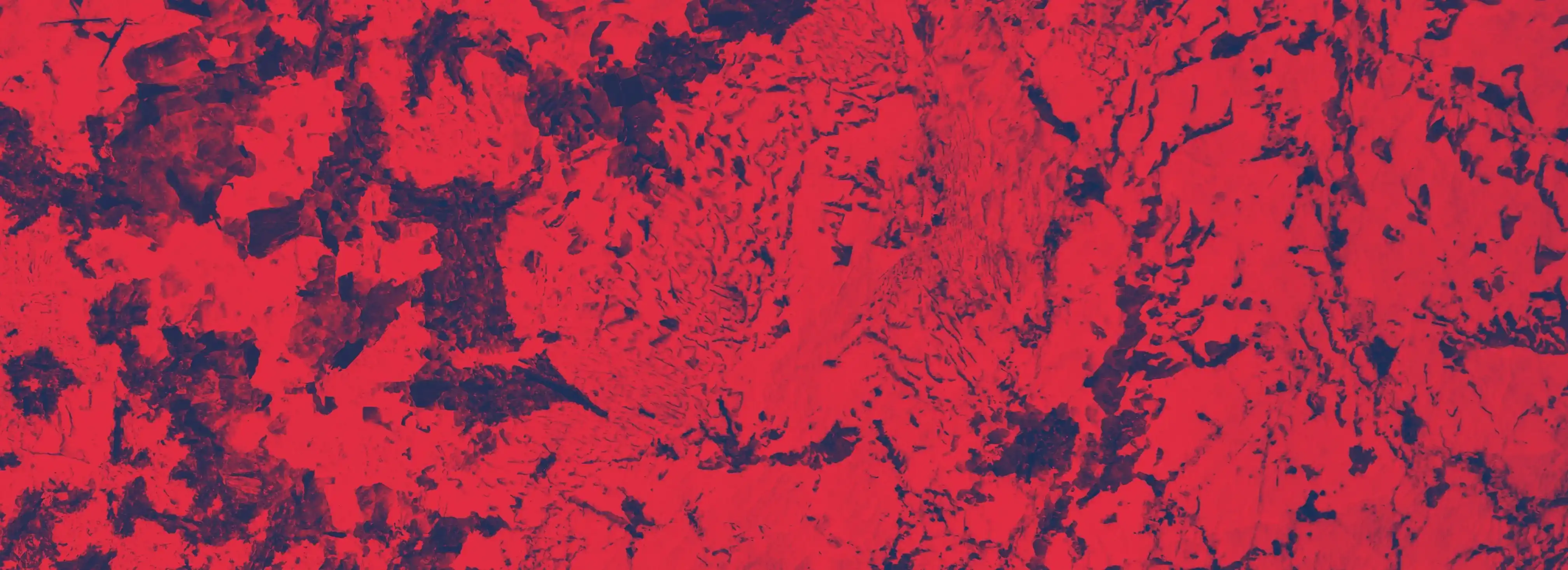 cover pic