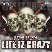 Picture for song '01 Life Iz Krazy' by artist '2 Tone Brown'